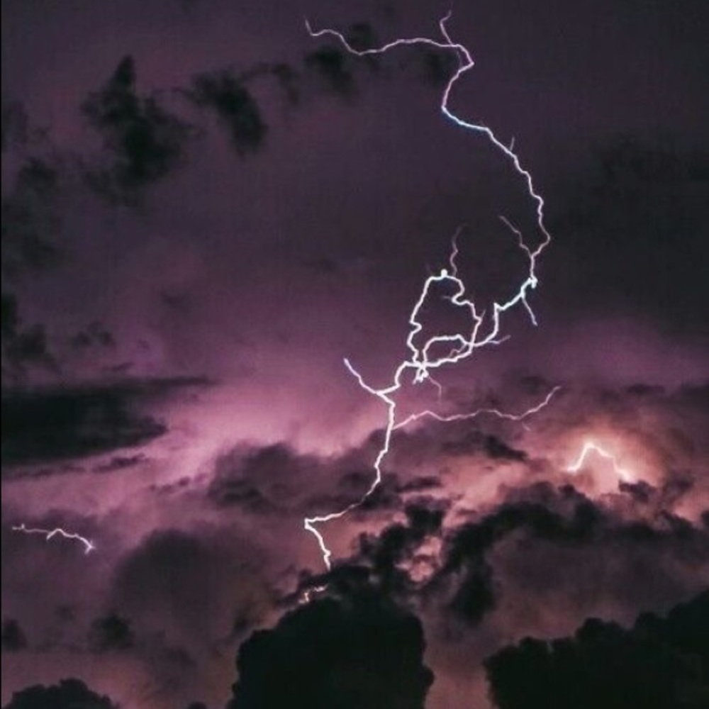Meet your Posher, Amilya